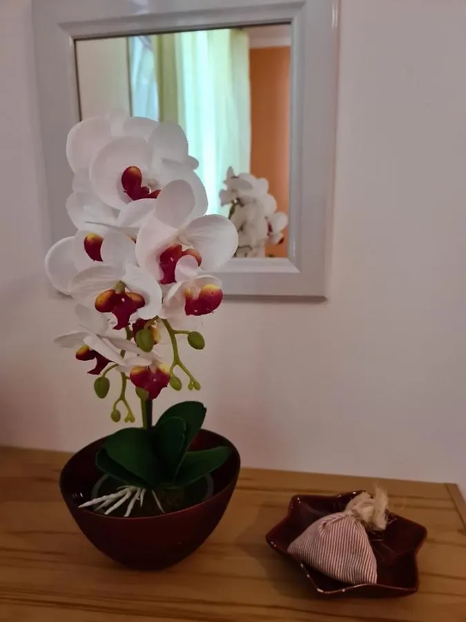 Villa Antonio Opatija 0*,